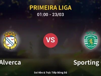 Kết Quả: Alverca 1-4 Sporting CP – Highlight & Bàn Thắng | Primeira Liga